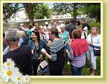 Provins_Marche (31)